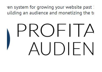 Steve Chou Profitable Audience