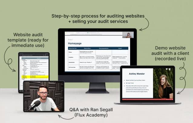 Danbee Shin – Website Audit Masterclass